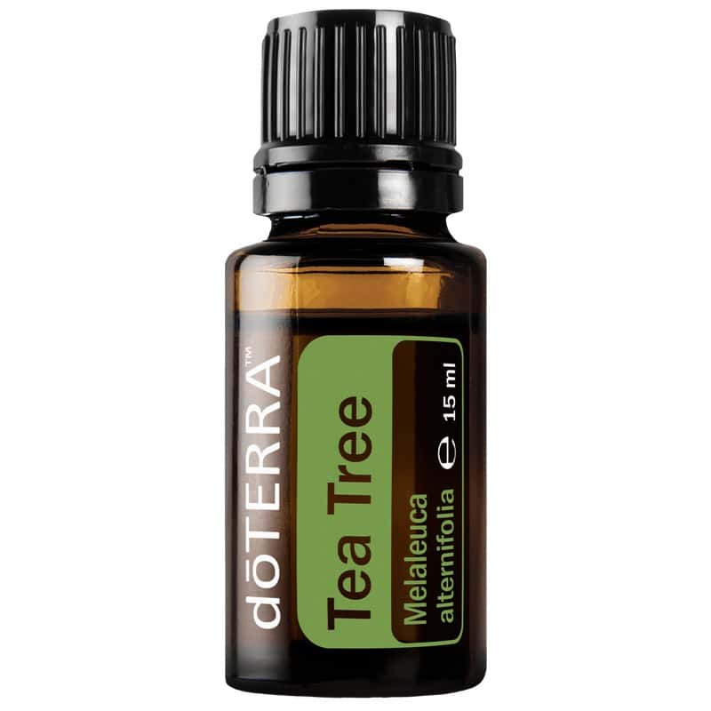 Ulei esențial de Tea Tree pentru aromaterapie și îngrijire.