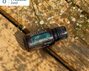 Produsul lunii septembrie 2026 — Chiparos 15 ml cadou dōTERRA
