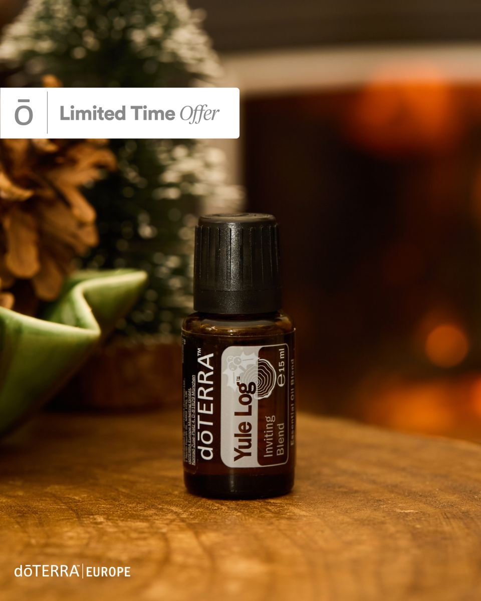 Limited Time Offer — Yule Log